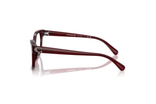 Seitenansicht Coach HC6247U (5393)