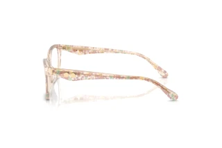 Seitenansicht Coach HC6248U (5894)