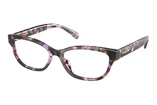 Coach HC6250U 5843 Amethyst Pearl Tortoise