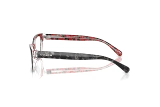 Seitenansicht Coach HC6250U (5856)