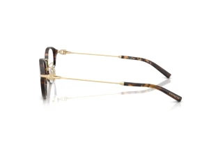 Seitenansicht Coach HC6268D (5120)