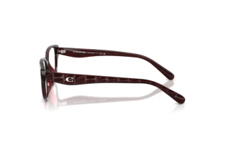 Seitenansicht Coach HC6279D (5915)