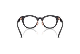 Rückansicht Coach HC6280D (5104)