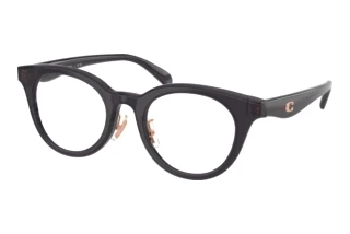 Vorderansicht Coach HC6280D (5104)