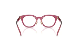 Rückansicht Coach HC6280D (5824)