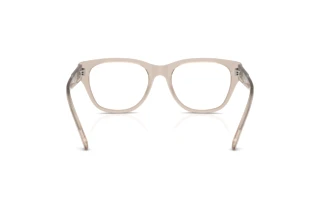 Rückansicht Diesel DL4001 (2007)