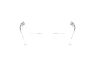 Rückansicht Diesel DL4002 (2005)