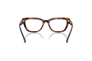 Rückansicht Diesel DL4003 (2021)