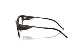 Seitenansicht Diesel DL4005 (2003)