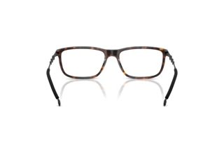 Rückansicht Diesel DL4006 (2003)