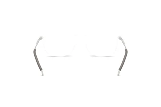 Rückansicht Diesel DL4006 (2006)