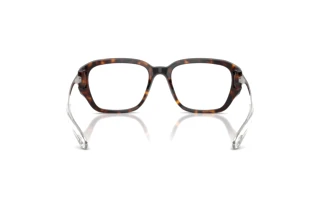 Rückansicht Diesel DL4009 (2003)