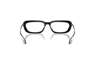 Rückansicht Diesel DL4012 (2001)