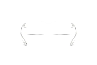 Rückansicht Diesel DL4012 (2005)