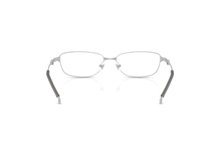 Rückansicht Diesel DL5002 (1007)