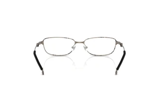 Rückansicht Diesel DL5002 (1032)