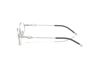 Seitenansicht Diesel DL5004D (1001)