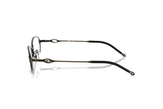 Seitenansicht Diesel DL5004D (1029)