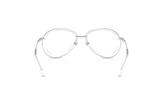 Rückansicht Diesel DL5007 (1001)