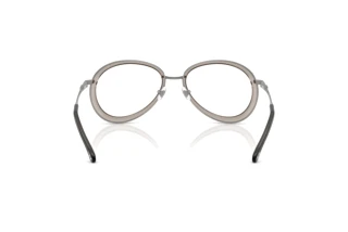 Rückansicht Diesel DL5007 (1003)