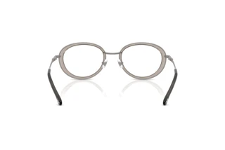 Rückansicht Diesel DL5010 (1003)