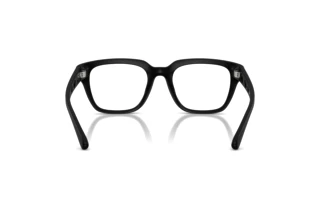 Rückansicht Diesel DL6001U (2002)