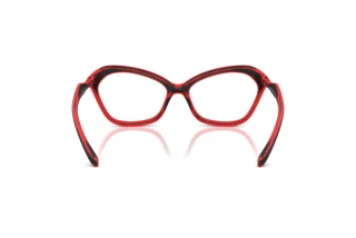 Rückansicht Diesel DL6003U (2009)