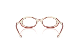 Rückansicht Diesel DL6005U (2010)