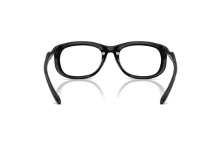 Rückansicht Diesel DL6006U (2001)