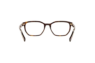 Rückansicht Dolce & Gabbana DG3338 (502)