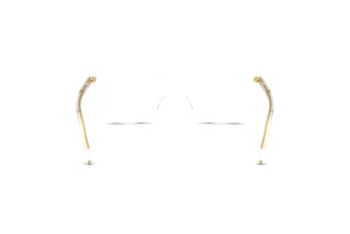 Rückansicht Dolce & Gabbana DG3424 (3133)