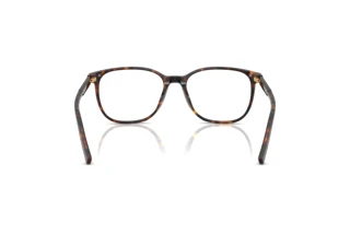 Rückansicht Dolce & Gabbana DG3426 (502)