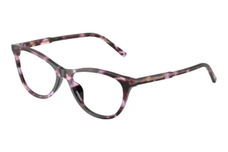 Vorderansicht Dolce & Gabbana DG3443 (3477)