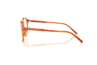 Seitenansicht Dolce & Gabbana DG3444 (3483)