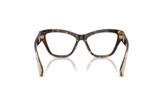 Rückansicht Dolce & Gabbana DG3448 (502)