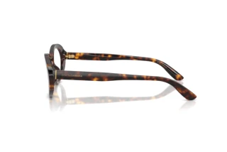 Seitenansicht Dolce & Gabbana DG3450 (502)