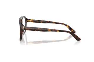 Seitenansicht Dolce & Gabbana DG3452 (502)