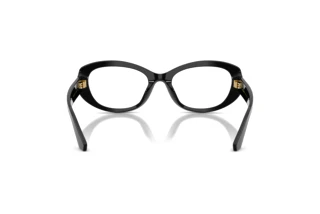 Rückansicht Dolce & Gabbana DG3455 (501)