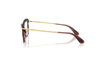 Seitenansicht Dolce & Gabbana DG5025 (3045)