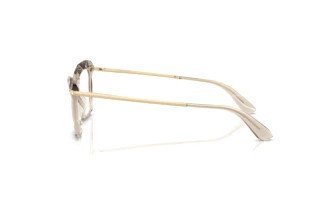 Seitenansicht Dolce & Gabbana DG5025 (3432)