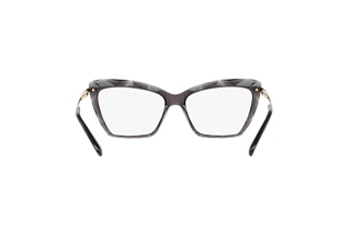 Rückansicht Dolce & Gabbana DG5025 (504)