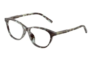 Vorderansicht Dolce & Gabbana DX3002 (3443)