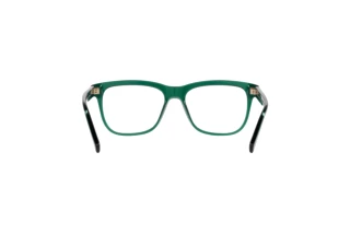 Rückansicht Dolce & Gabbana DX3356 (3008)