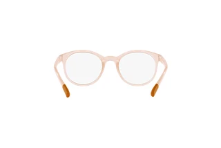 Rückansicht Dolce & Gabbana DX5095 (3041)