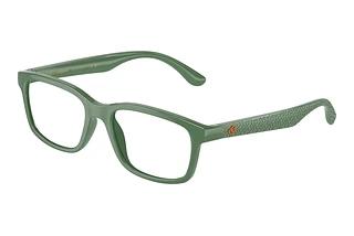 Dolce & Gabbana DX5097 3329 Green