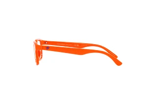 Seitenansicht Dolce & Gabbana DX5097 (3338)