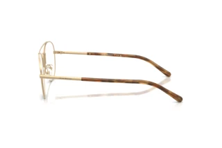 Seitenansicht Emporio Armani EA1178 (3421)