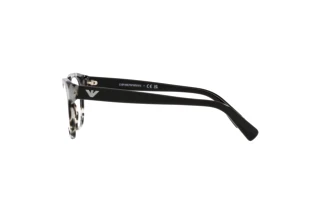 Seitenansicht Emporio Armani EA3162 (5193)