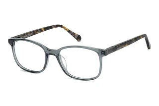 Fossil FOS  7198 63M