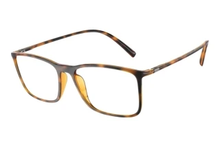 Vorderansicht Giorgio Armani AR7244U (5026)